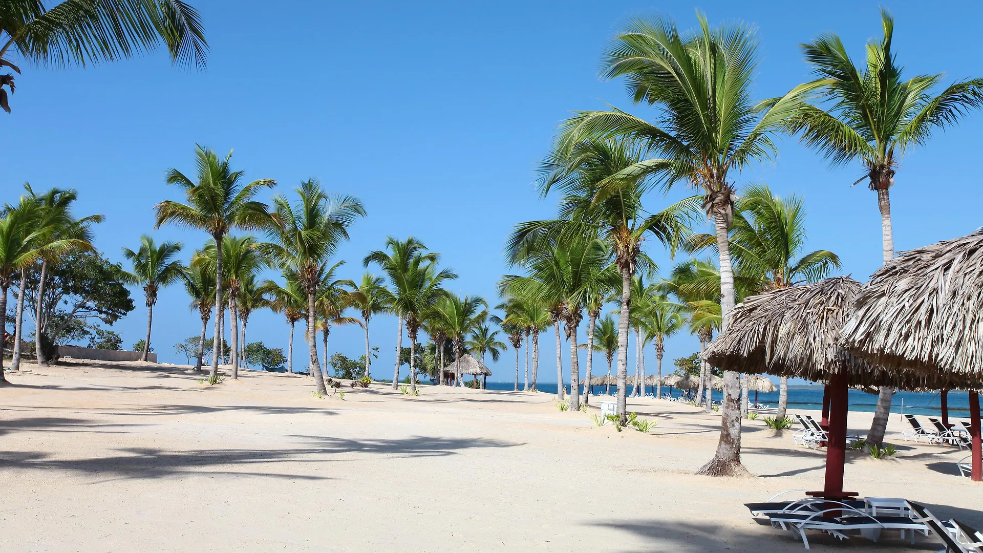 ***** Ośrodek wypoczynkowy Bahia Principe Luxury Bouganville (Adults Only) Soco Dominikana
